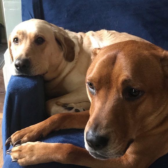 Meet your Posher, Jackie - Picture 6 of 8